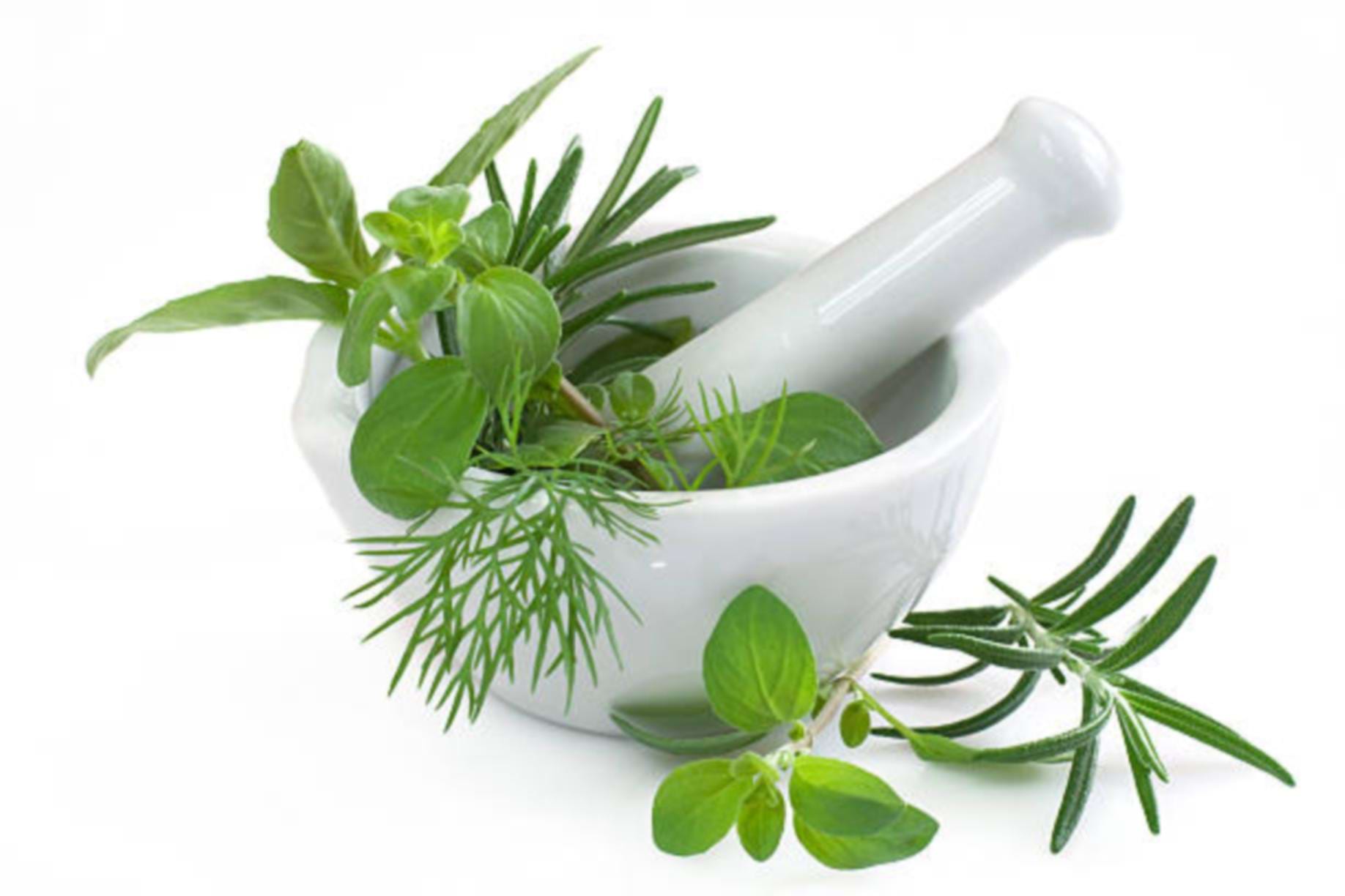 Mortar with herbs