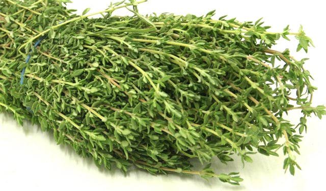 Thyme